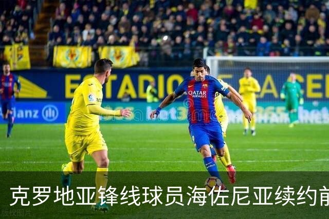 克罗地亚锋线球员海佐尼亚续约前景分析